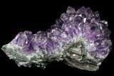 Purple Amethyst Cluster - Uruguay #66811-2